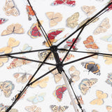 Eco Chic Eco Chic Foldable Mini Umbrella Wild Butterflies